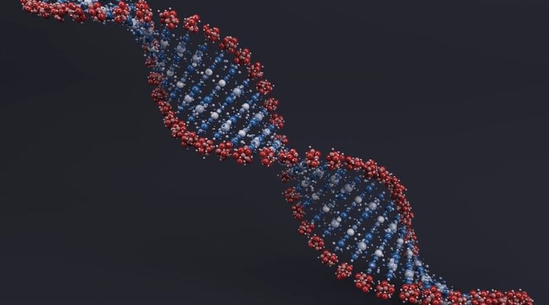 Stylized human DNA double helix illustrating the genetic blueprint that defines who we are
